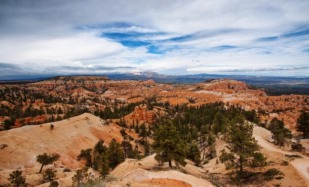 Il canyon di Bryce