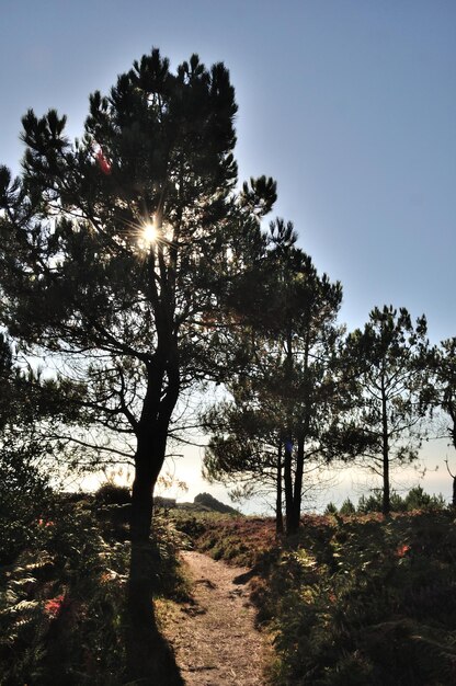 Il Cap d'Erquy sulla costa della Bretagna