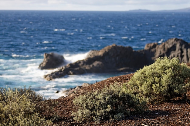 Il cast del sud di tenerife