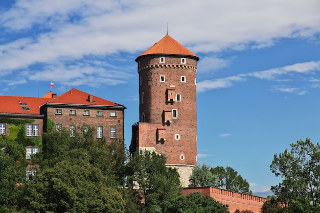 Il castello di Cracovia, in Polonia