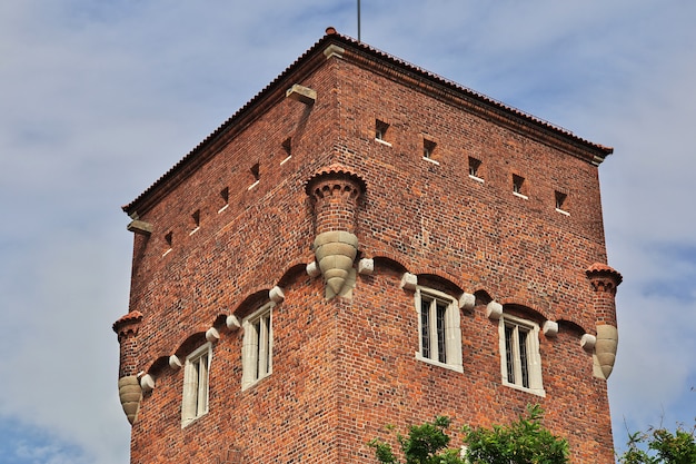 Il castello di Cracovia Polonia