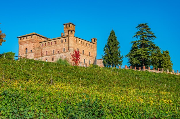 Il castello di Grinzane Cavour nella vigna delle Langhe Patrimonio dell'Unesco