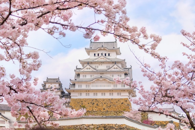 Il castello di Himeji con la stagione dei fiori di ciliegio sakura in Giappone