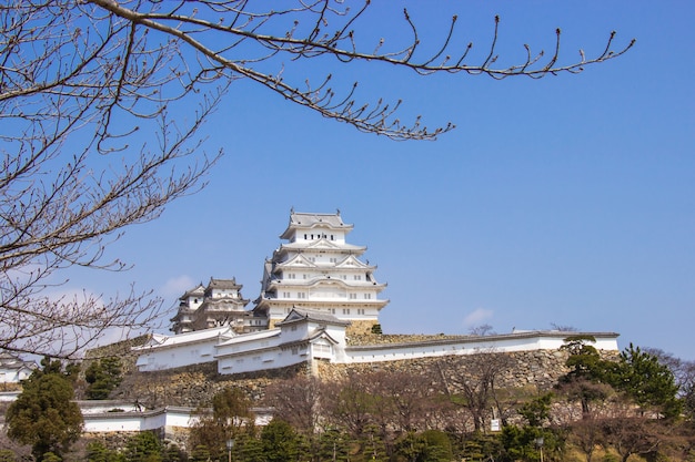 Il castello di Himeji durante il periodo dei fiori di ciliegio sta per fiorire