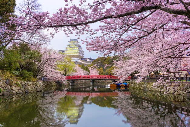 Il castello di Himeji e il fossato in primavera