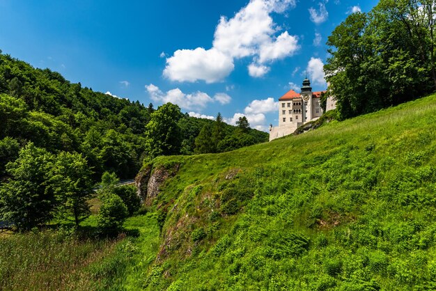 Il castello di Pieskowa Skala nel parco nazionale di Ojcowski vicino a Cracovia Polonia