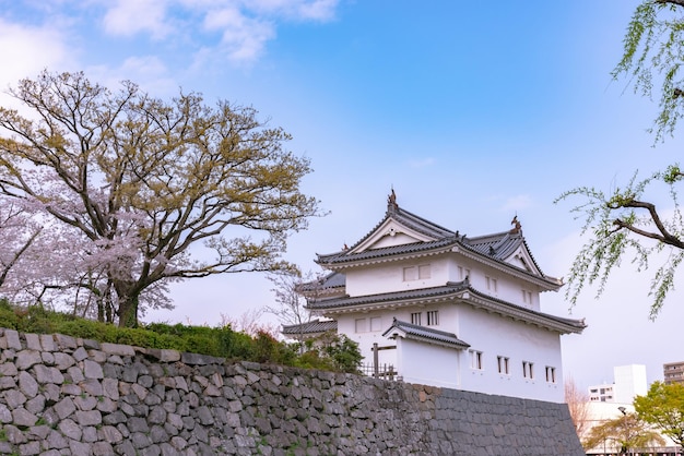 Il castello di Sunpu TatsumiYagura durante i fiori di ciliegio Shizuoka in Giappone