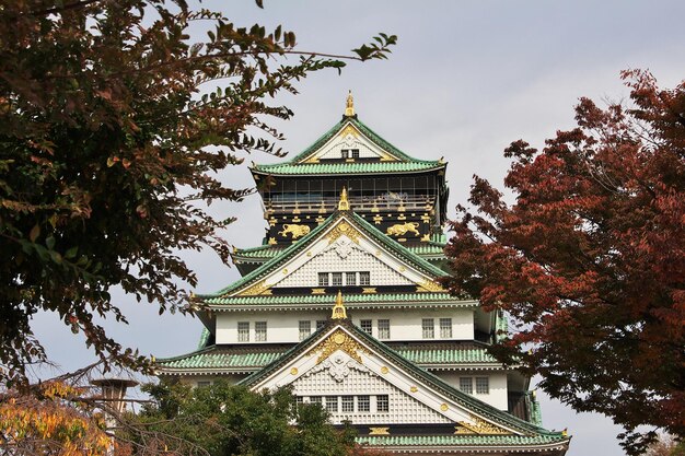 Il castello medievale in autunno a Osaka in Giappone