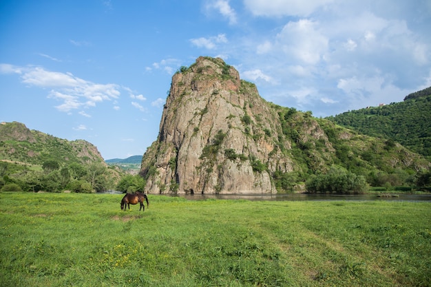 Il cavallo mangia l'erba vicino al fiume vicino a una grande roccia