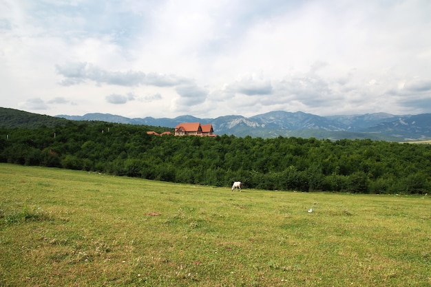 Il cavallo nelle montagne caucasiche, Azerbaigian