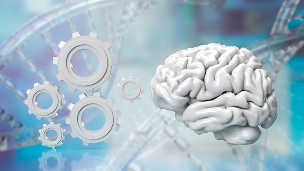 Il cervello e gli ingranaggi sullo sfondo del DNA rendering 3D