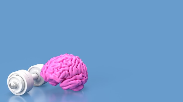 Il cervello rosa e il manubrio bianco per il concetto di allenamento cerebrale rendering 3D