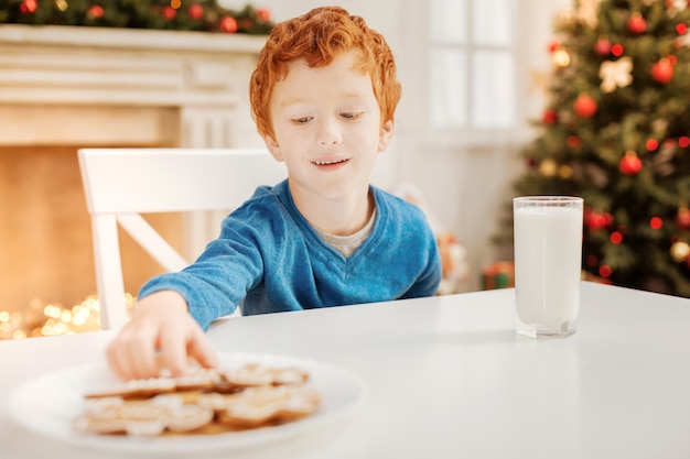 Il cibo di casa è il migliore. Bambino allegro che sorride mentre si siede a un tavolo e concentra la sua attenzione su un piatto pieno di pan di zenzero cotto da sua madre.