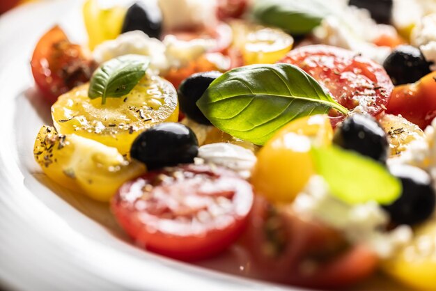 Il cibo mediterraneo dell'insalata caprese è servito in un piatto bianco