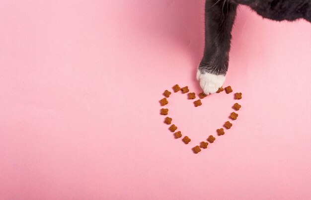 Il cibo per gatti è disposto sotto forma di sfondo rosa cuore