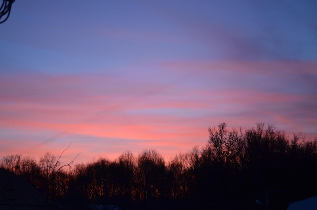 Il cielo è azzurro e il sole sta tramontando in lontananza