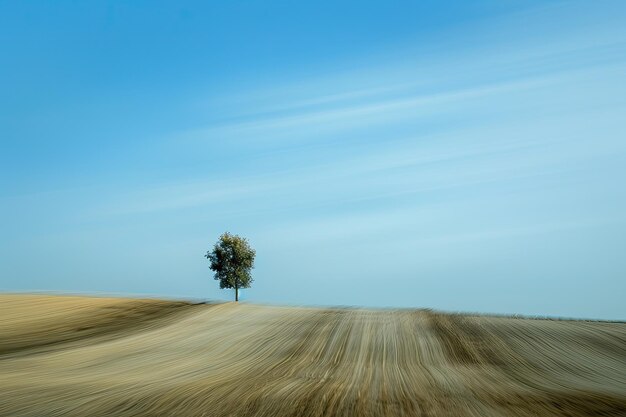 Il cielo è blu e non nuvoloso