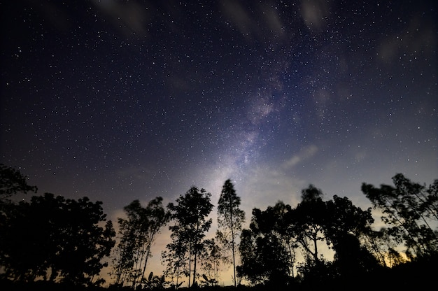 Il cielo e le stelle, la Via Lattea nella notte stessa