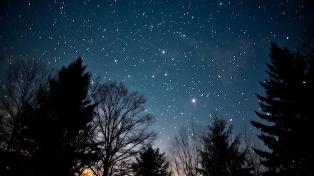 il cielo notturno con stelle e alberi sullo sfondo