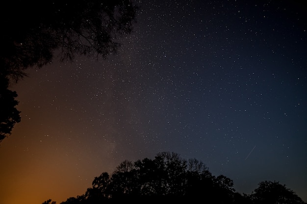 Il cielo notturno, la Via Lattea. paesaggio notturno