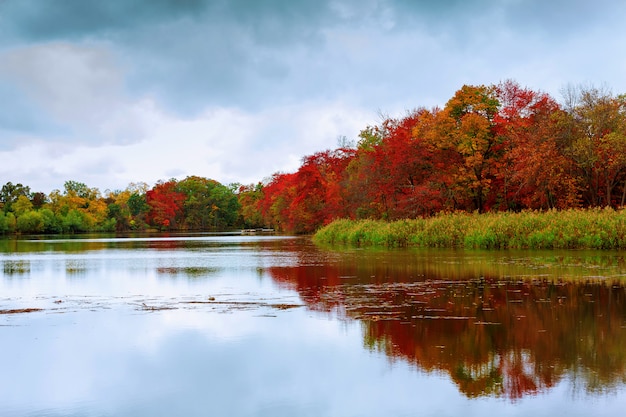Il cielo variopinto del fiume del lago della foresta di autunno si appanna il cirro