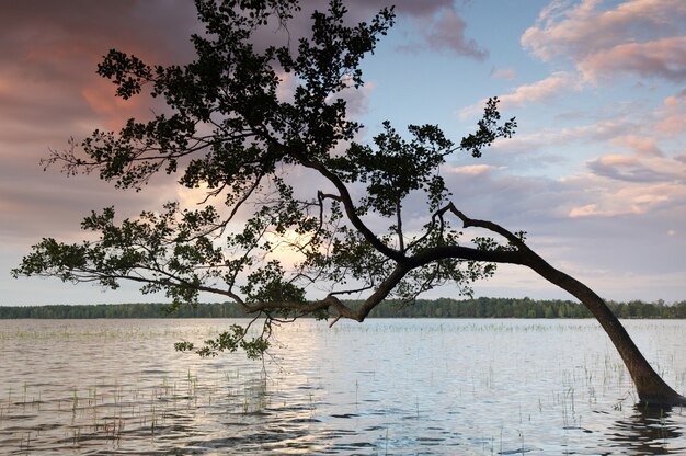 Il cielo variopinto e l'acqua variopinta in lago hanno riflesso nella sera