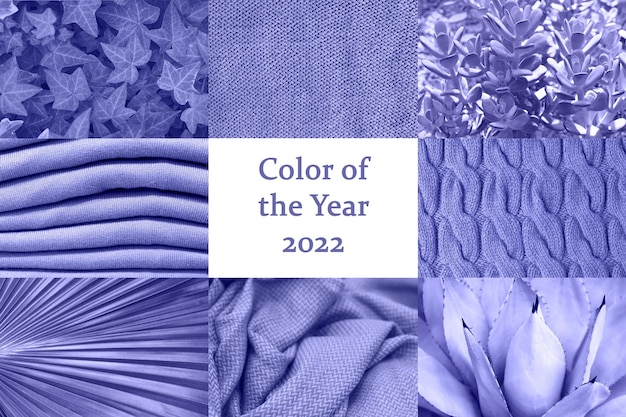 Il collage di piante e capi nei colori di tendenza dell'anno 2022.