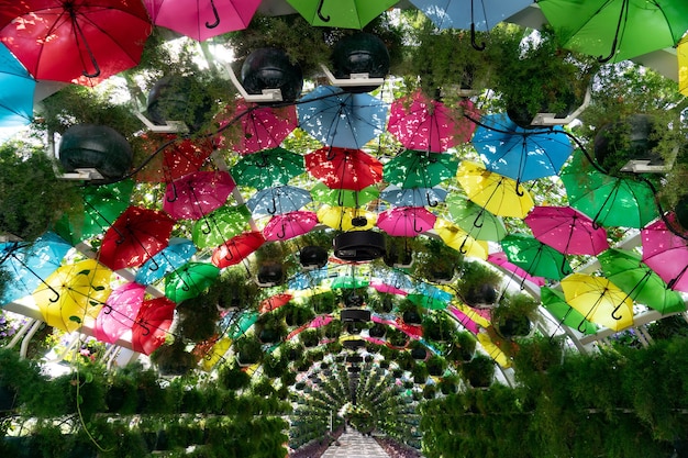 Il colorato arco di fiori e ombrelli presso la stazione della Corniche doha qatar