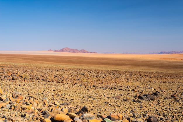 Il colorato deserto del Namib, roadtrip nel meraviglioso Namib Naukluft National Park, destinazione di viaggio e punto culminante in Namibia, Africa.
