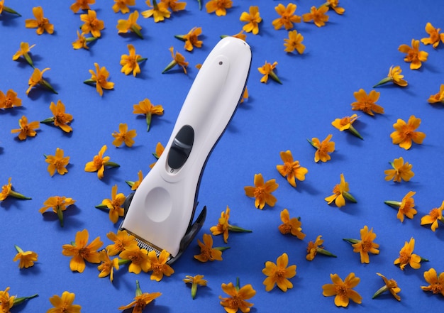 Il colore bianco del tagliacapelli imita il taglio di fiori d'arancio su sfondo blu. Lavoro di ispirazione creativa.