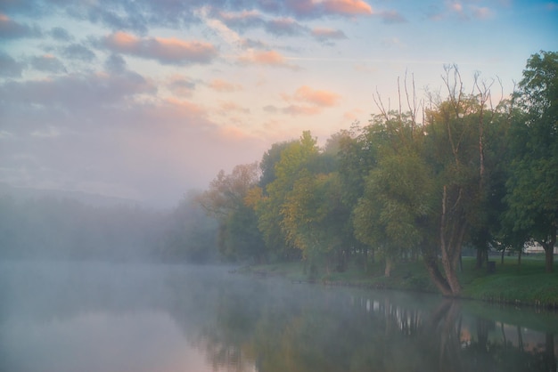 Il colore dell'autunno si riflette nelle acque tranquille del lago nebbioso mattutino in Ungheria