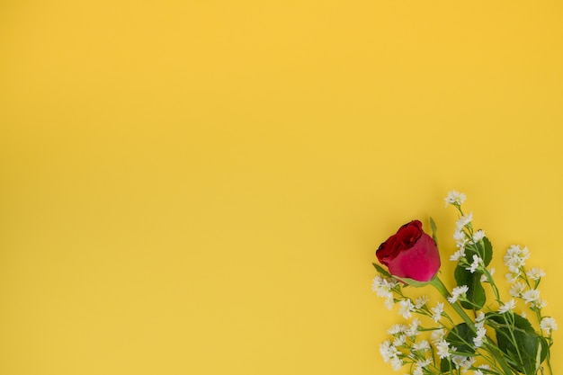 Il colore rosso è aumentato con i piccoli fiori della taglierina su priorità bassa gialla con spazio