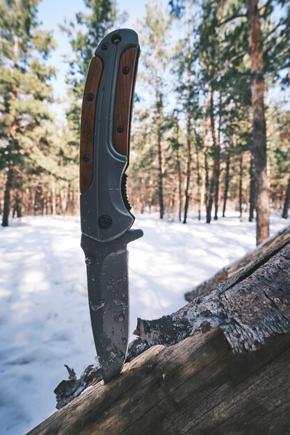 Il coltello tattico pieghevole per la sopravvivenza e l'escursionismo è bloccato nel tronco di un albero caduto nella foresta invernale di pini