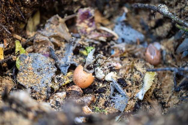 Il compostaggio degli scarti alimentari in una compostiera in un cortile in australia