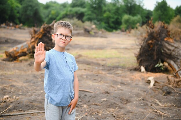 Il concetto di protezione della natura La deforestazione