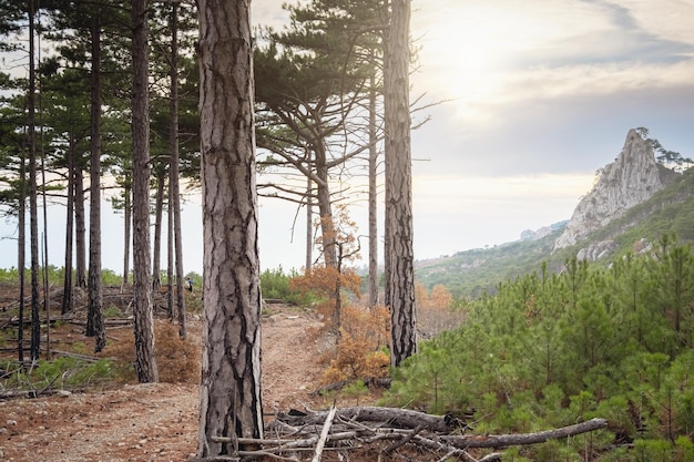 Il concetto di scoperta ed escursionismo natura e libertà