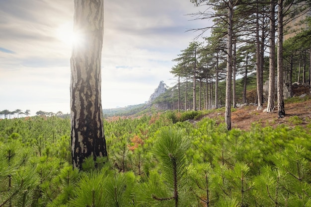 Il concetto di scoperta ed escursionismo natura e libertà