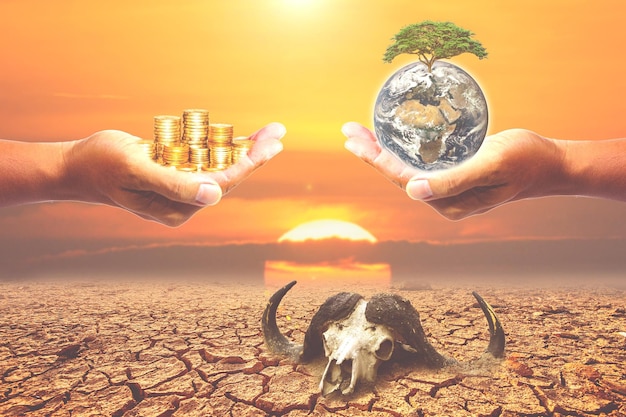 Il concetto di siccità, riscaldamento globale e ambiente