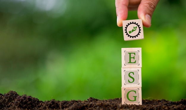 Il concetto ESG di parole ambientali, sociali e di governance L'ESG su un cubo di legno è un'idea per lo sviluppo organizzativo sostenibile delle imprese conto della società ambientale e della governance aziendale