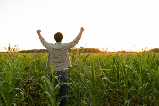 Il contadino in un campo di mais alza le mani la testa alzata al cielo godendosi il suo successo