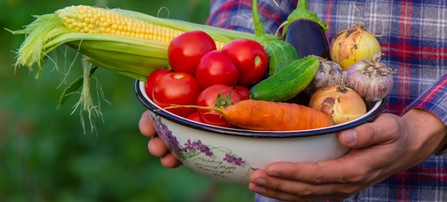 Il contadino tiene tra le mani le verdure appena raccolte