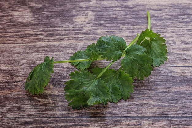 Il coriandolo aroma verde crudo lascia le erbe