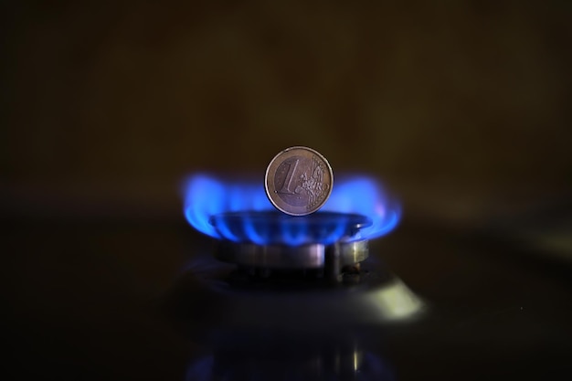 Il costo del gas la crisi dell'euro 100 euro su un bruciatore a gas Sanzioni sul gas russo