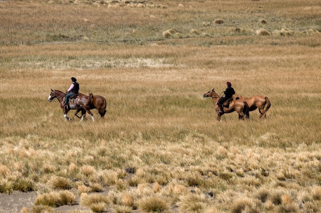 Il cowboy gaucho argentino cammina con il suo cavallo davanti alla telecamera in Patagonia