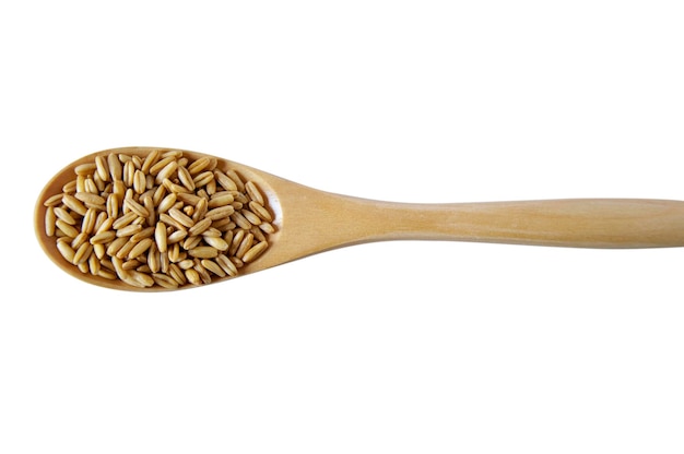 Il cucchiaio di legno ha riempito il fondo bianco del grano fresco