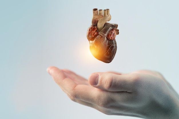 Il cuore come simbolo delle innovazioni in medicina. Tecnica mista