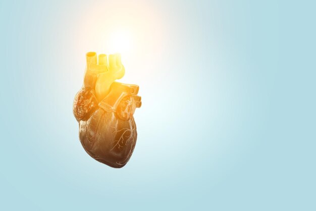 Il cuore come simbolo delle innovazioni in medicina. Tecnica mista