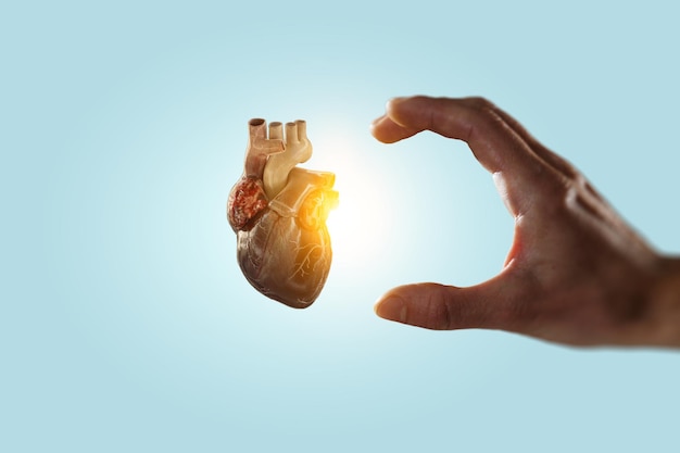 Il cuore come simbolo delle innovazioni in medicina. Tecnica mista