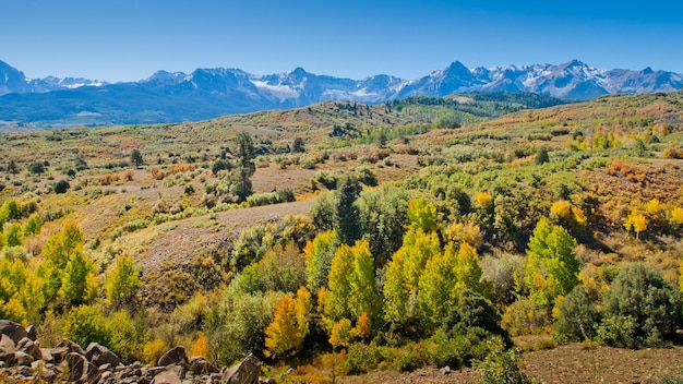 Il Dallas Divide è un'icona del Colorado, ben noto per i suoi vividi colori autunnali prodotti da querce e pioppi.