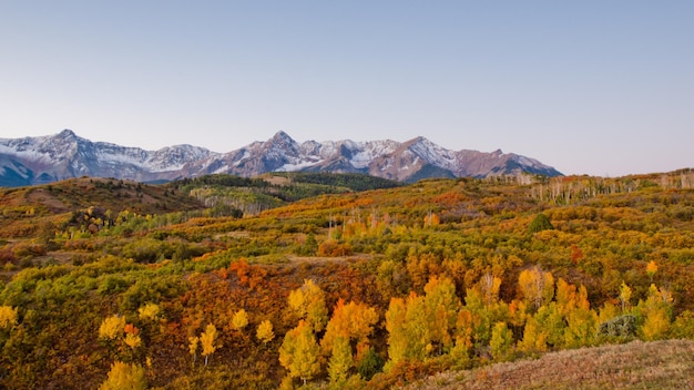 Il Dallas Divide è un'icona del Colorado, ben noto per i suoi vividi colori autunnali prodotti da querce e pioppi.